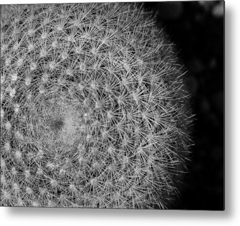 Abstract Metal Print featuring the photograph Spiky Moon by Ronda Broatch