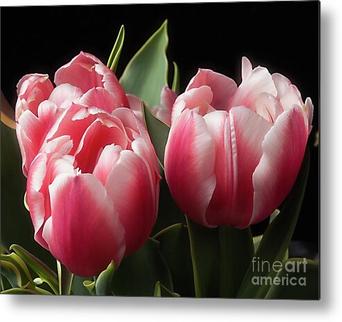 Flowers Metal Print featuring the photograph Spring by Ann Jacobson