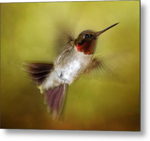 Hummingbird Metal Print featuring the photograph Spring Hummingbird by TnBackroadsPhotos 