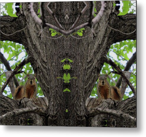 Squirrels Metal Print featuring the digital art Squirrels Advising the Tiki God by Julia L Wright