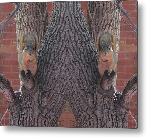 Squirrels Metal Print featuring the digital art Squirrels in a Tree with Hands on Their Hearts by Julia L Wright