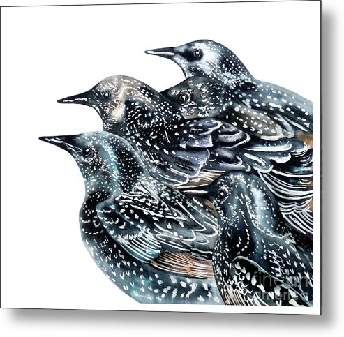 Birds Metal Print featuring the painting Starlings by Marie Burke