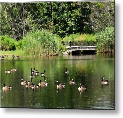 Park Metal Print featuring the photograph Summer Fun by Mikki Cucuzzo