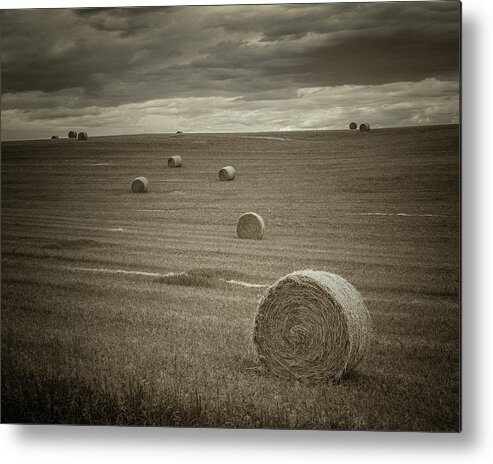 Montana Metal Print featuring the photograph Summer Harvest by Jared Perry