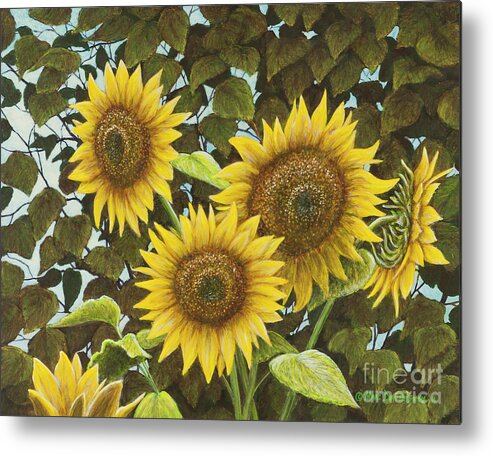Sunflower Metal Print featuring the painting Summer Quintet by Marc Dmytryshyn
