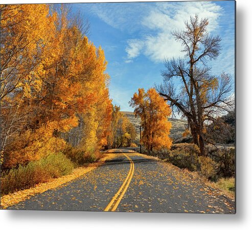 Sunny Fall Day Metal Print featuring the photograph Sunny Fall Day by Wes and Dotty Weber