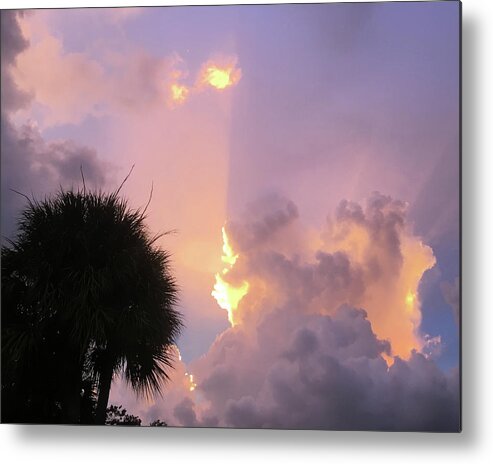 Sunset Metal Print featuring the photograph Sunset in Paradise #1 by Susan Grunin