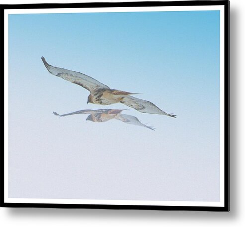  Metal Print featuring the photograph Taking Flight by Kimberly Woyak