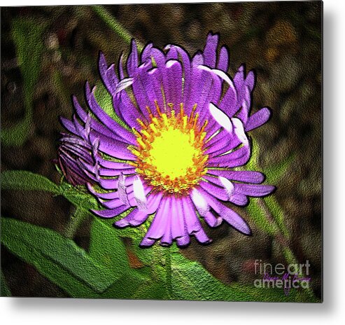 Flower Metal Print featuring the photograph Tansyleaf Aster by Donna Brown