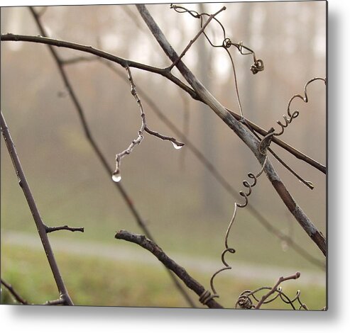 Landscape Metal Print featuring the photograph Teardrops by Carol Sweetwood