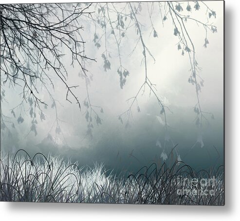 Light Metal Print featuring the digital art That Streak by Trilby Cole