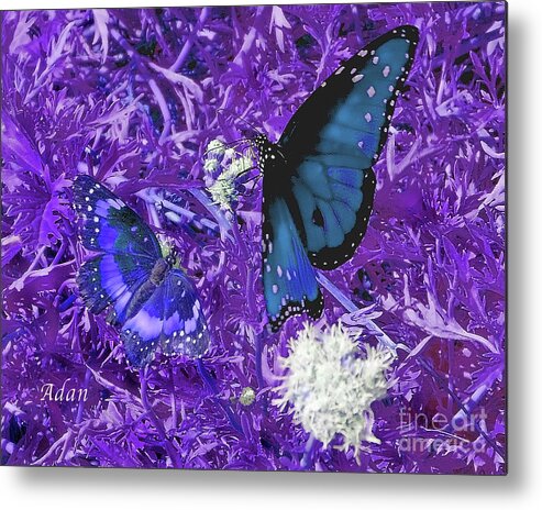 Butterflies Metal Print featuring the photograph The Beauty of Sharing - Purple by Felipe Adan Lerma