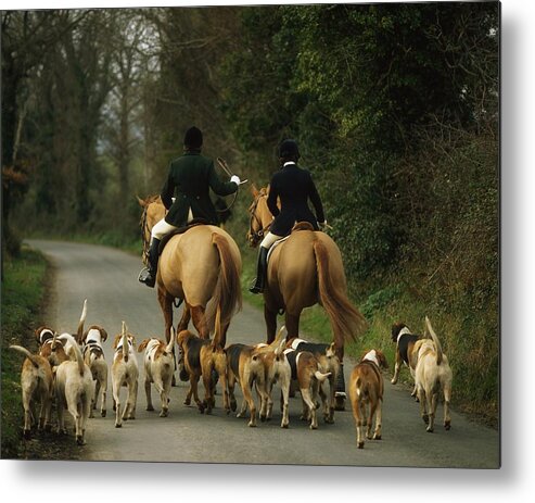 Activity Metal Print featuring the photograph The Bray Harriers, Co Wicklow, Ireland by The Irish Image Collection 
