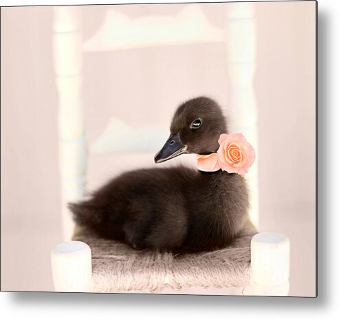 Duck Art Metal Print featuring the photograph The Debutante by Amy Tyler