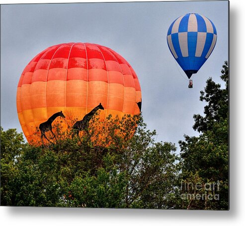 Giraffes Metal Print featuring the photograph The Giraffes Are Coming by Steve Brown