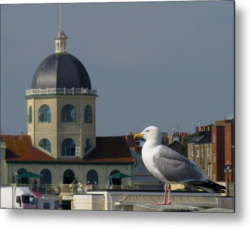Gull Metal Print featuring the photograph The Gull and the Dome by John Topman