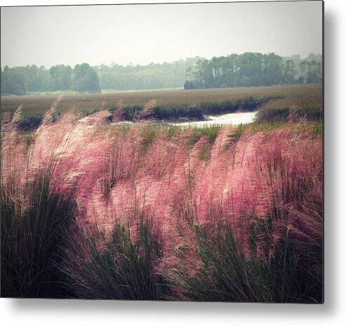 South Carolina Metal Print featuring the photograph The Lowlands by Amy Tyler