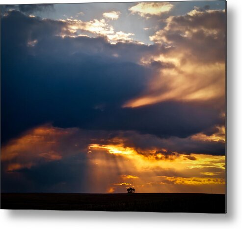 Cloud Metal Print featuring the photograph The Only Tree That's Left by Sandra Parlow