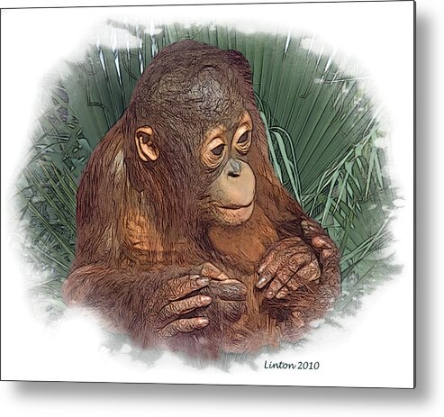 Orangutan Metal Print featuring the digital art The Security Of A Mother's Hands by Larry Linton