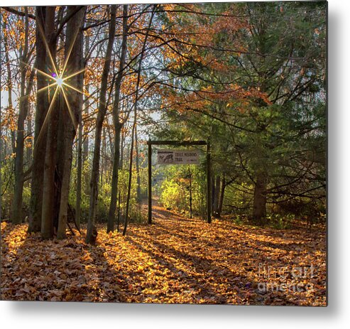 Nature Metal Print featuring the photograph Three Meadows Trail Head by Rod Best