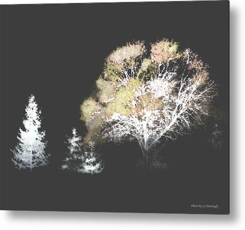 Wall Decor Metal Print featuring the photograph Three Trees in the Dark by Coke Mattingly