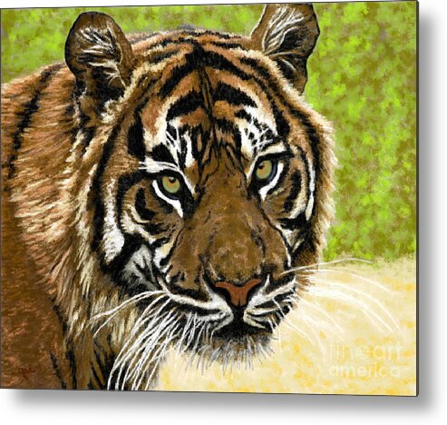 Wildlife Metal Print featuring the painting Tiger Smiles by Jackie Case
