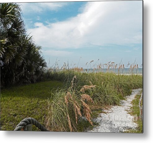 Beach Metal Print featuring the photograph To the Beach by Terri Mills