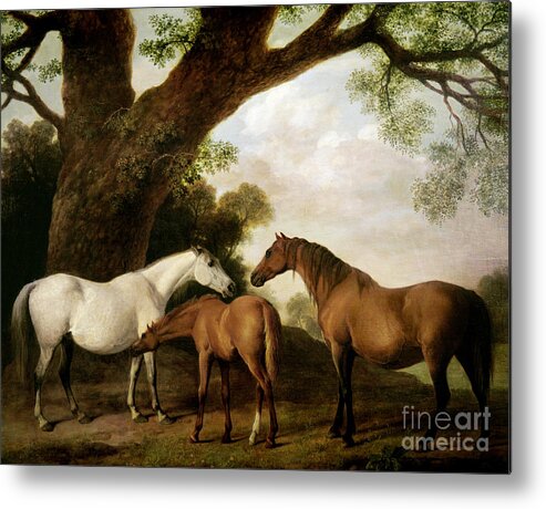 Two Metal Print featuring the painting Two Mares and a Foal by George Stubbs