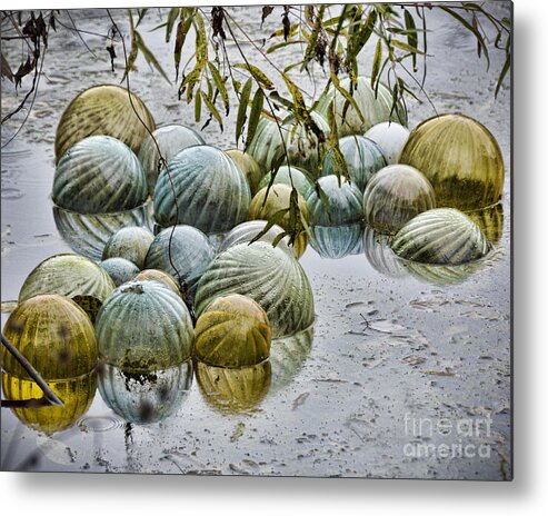 Orbix Metal Print featuring the photograph Unwanted by Ken Johnson