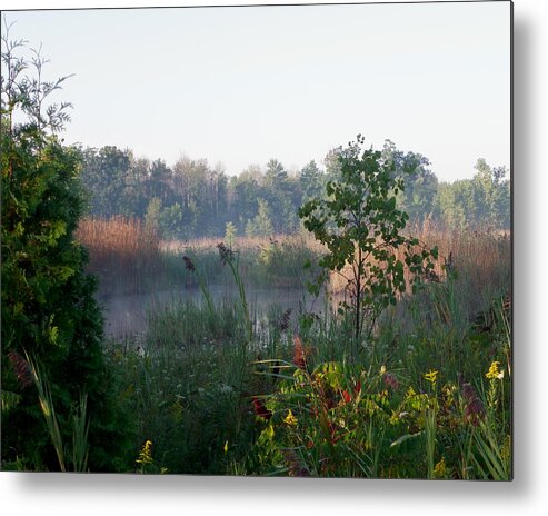 Nature Metal Print featuring the photograph View from the path by Peggy King