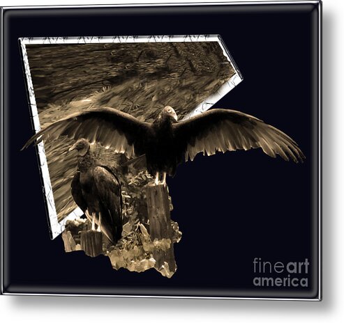 Birds Metal Print featuring the photograph Vulture 3D by Donna Brown