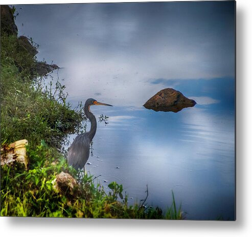 Heron Metal Print featuring the photograph Watchful by Judy Hall-Folde