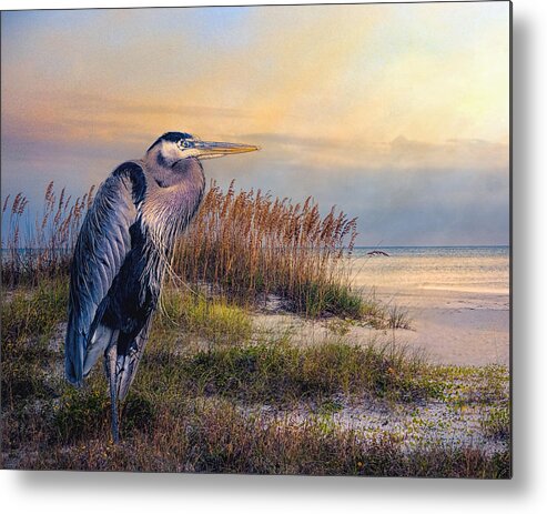 Great Blue Heron Metal Print featuring the photograph Watching the sun go down by Brian Tarr