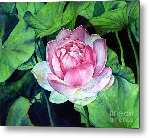 Watercolor Metal Print featuring the painting Water Lily by Hailey E Herrera