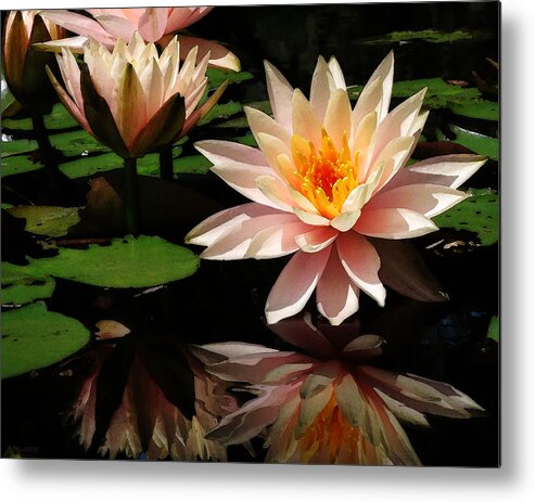 Photo Metal Print featuring the photograph Water Lily in Sunshine by Deborah Smith