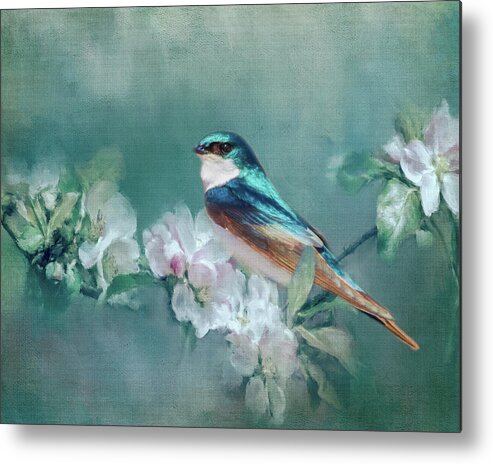 Spring Metal Print featuring the photograph Welcome Spring by Cathy Kovarik