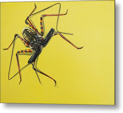 Spider Metal Print featuring the painting Whip Scorpion by Jude Labuszewski