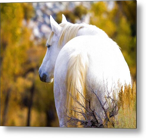 Horses Metal Print featuring the photograph White Mustang Mare by Waterdancer 