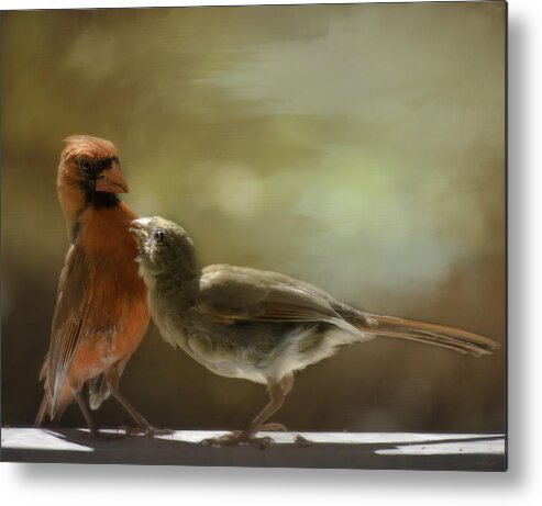 Cardinals Metal Print featuring the photograph Who's your Daddy by Mary Clough