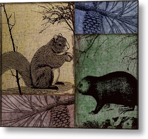 Squirrel Metal Print featuring the painting Wildlife Patchwork Squirrel by Mindy Sommers