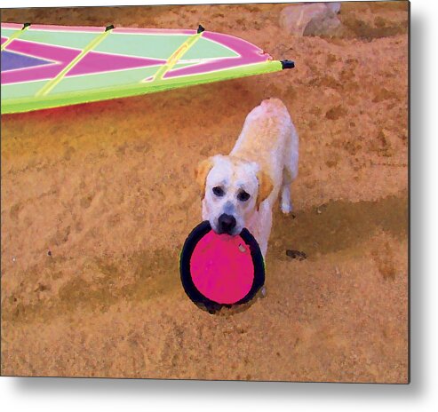 California Metal Print featuring the digital art Will you play with me? by Waterdancer