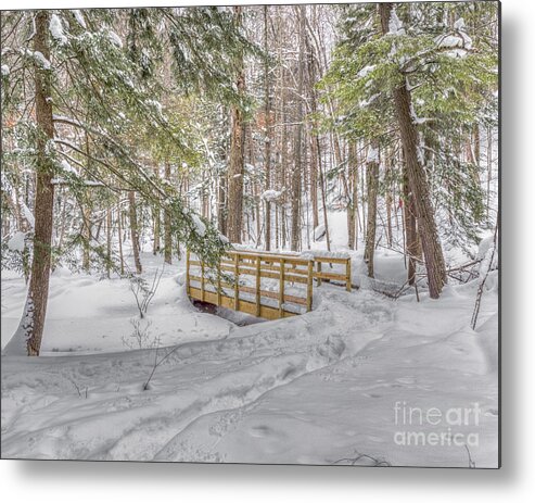 Streams Metal Print featuring the photograph Winter Bridge by Rod Best