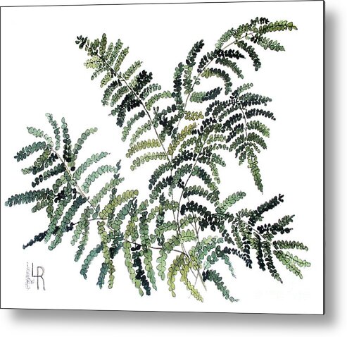 Fern Metal Print featuring the painting Woodland Maiden Fern by Laurie Rohner