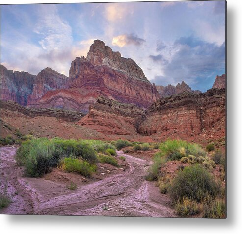 00574850 Metal Print featuring the photograph Desert And Cliffs, Vermilion Cliffs by Tim Fitzharris