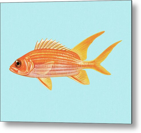 Animal Metal Print featuring the drawing Goldfish #1 by CSA Images