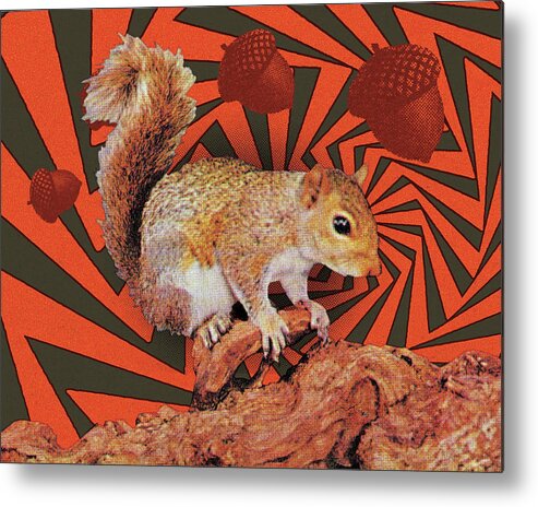 Acorn Metal Print featuring the drawing Squirrel #13 by CSA Images