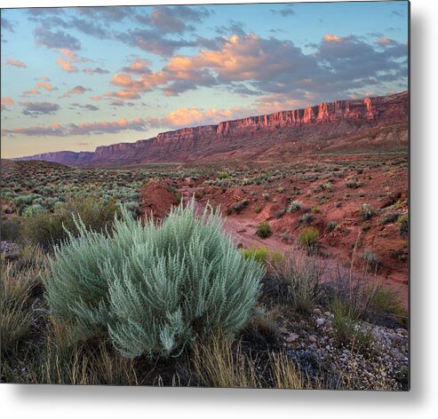 00574877 Metal Print featuring the photograph Desert And Cliffs, Vermilion Cliffs Nm by Tim Fitzharris