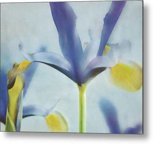 Connie Handscomb Metal Print featuring the photograph Flow #1 by Connie Handscomb