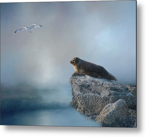 Seal Metal Print featuring the photograph On The Rocks by Cathy Kovarik