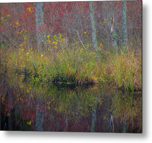 Agua Metal Print featuring the photograph USA, New Jersey, Wharton State Forest #3 by Jaynes Gallery